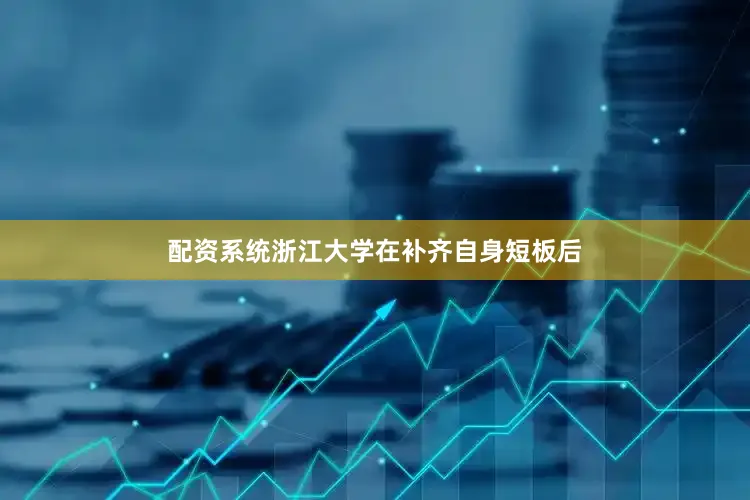 配资系统浙江大学在补齐自身短板后